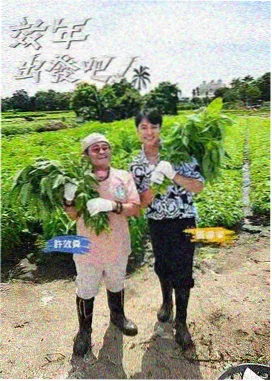 资讯配图，蒸制时长与口感对照记录表