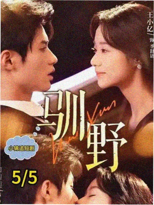 龙眼肉图鉴图，展示颗粒饱满的棕黄色干果肉